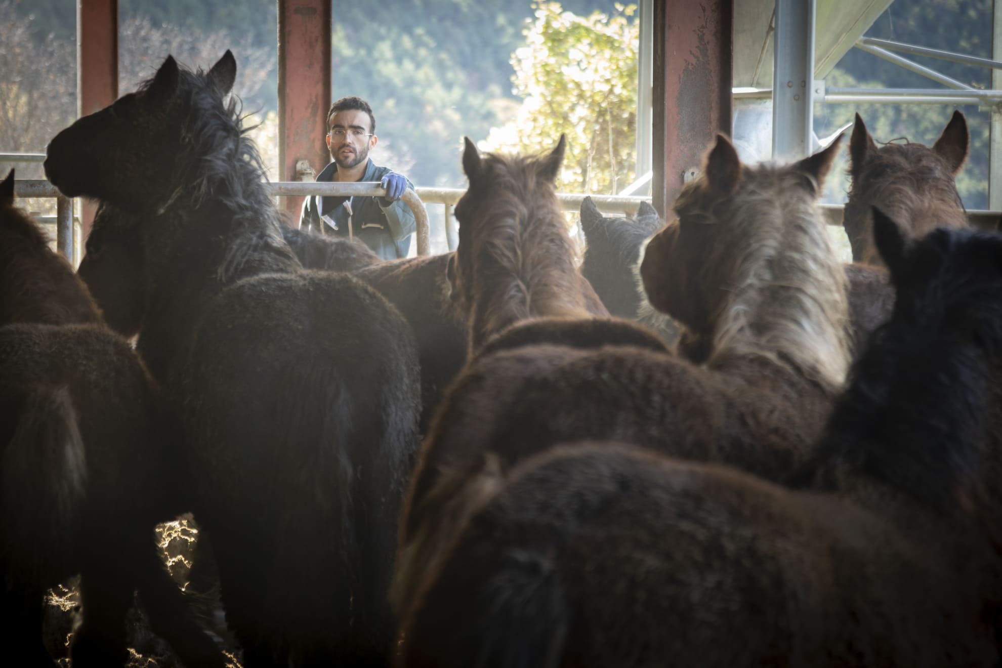 Casa Boté. Autor: Felipe Valladares