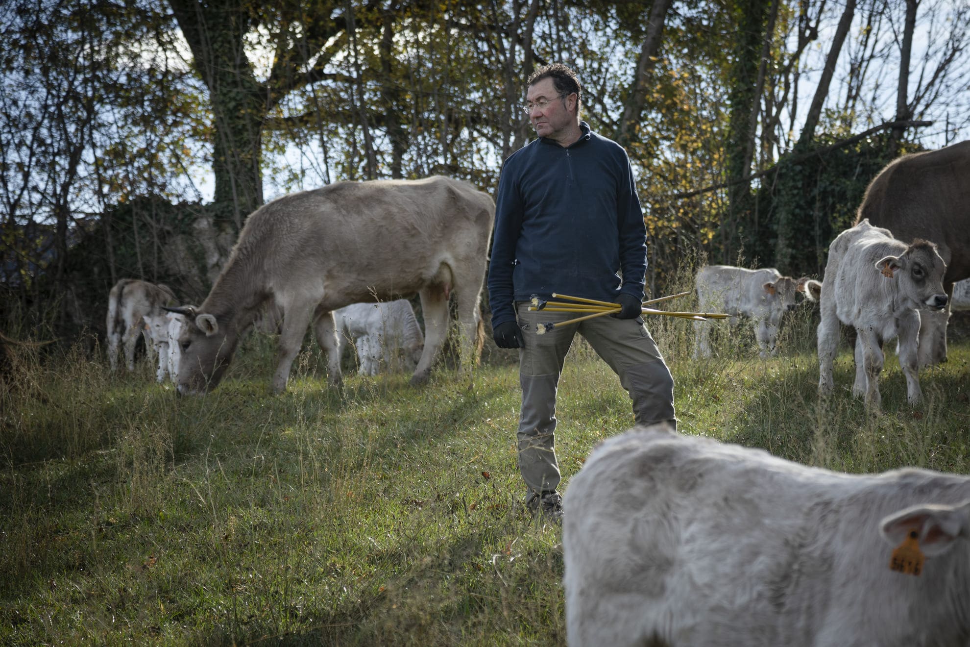 Casa Beta. Autor: Felipe Valladares