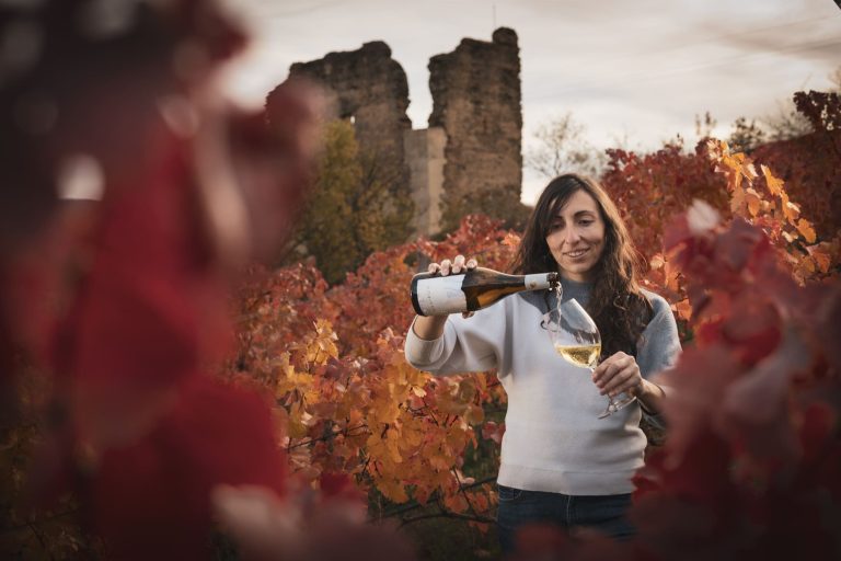 Celler Cota 730. . Autor: Felipe Valladares